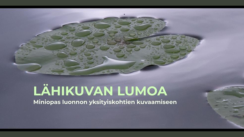 Lähikuvan lumoa by Minna Puhakka